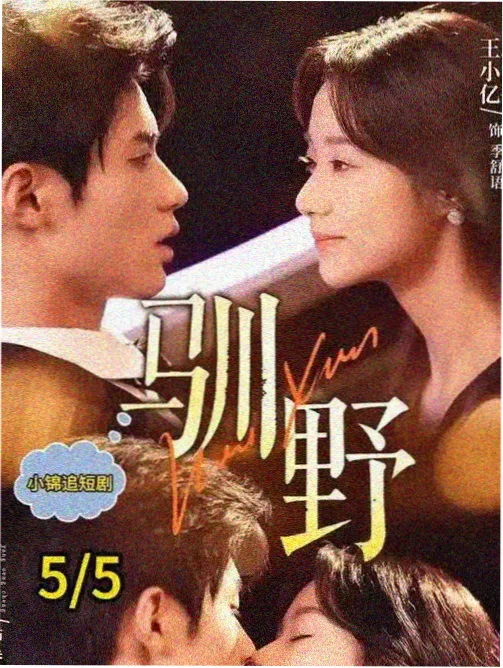 热播榜第六名回声档案缩略图